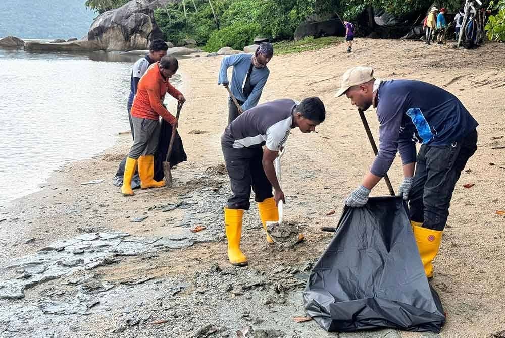 Difahamkan, PIC melalui pemaju projek Silicon Island Development Sdn Bhd telah menjalankan lima kali pembersihan pantai iaitu tiga kali di Pantai Teluk Bayu dan dua kali di Pantai Esen.