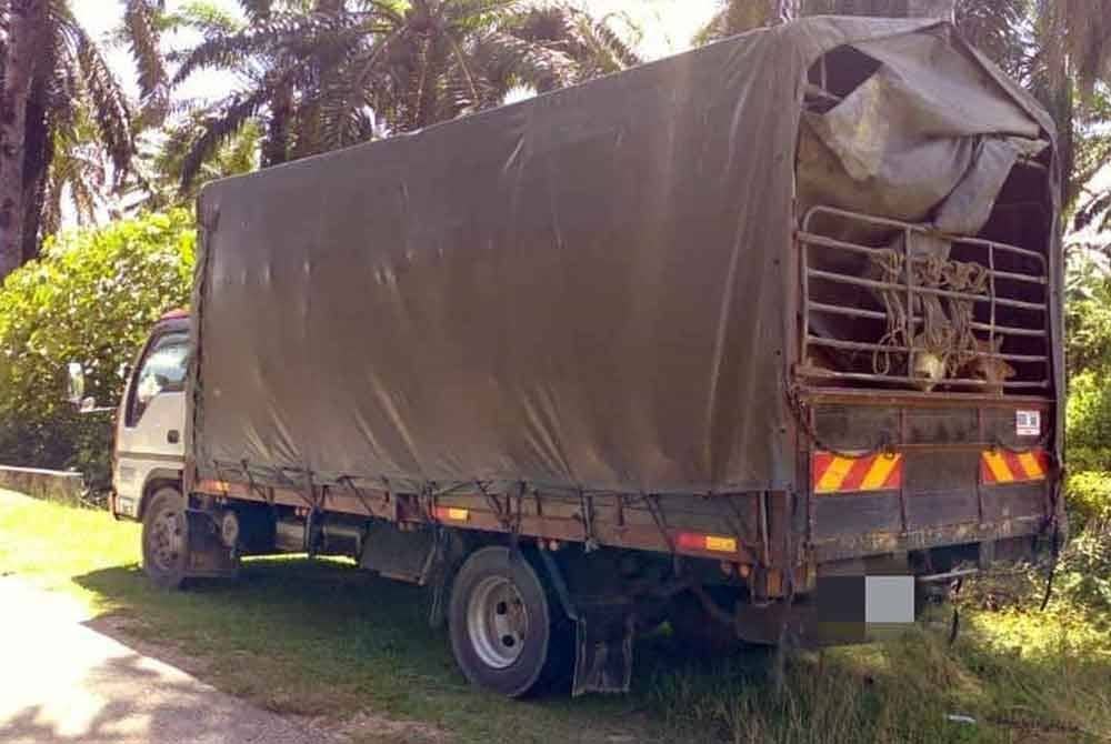 PGA Briged Tenggara menumpaskan kegiatan penyeludupan lembu dengan penahanan sebuah lori membawa 13 ekor lembu di Kampung Bukit Tandak, Pasir Mas, semalam. Foto PGA Briged Tenggara