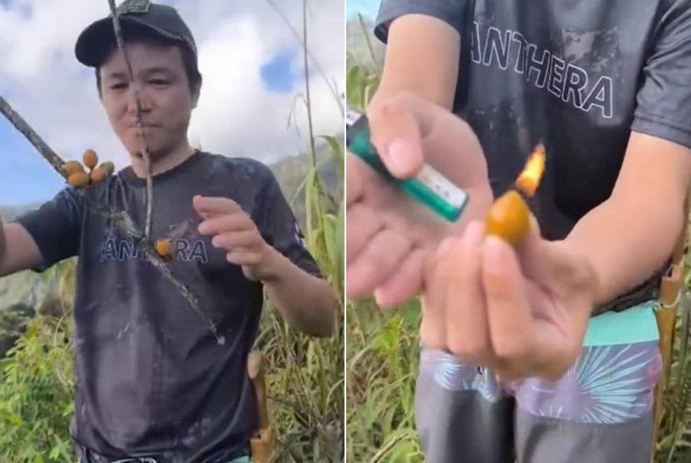 Tular video berdurasi dua minit enam saat memaparkan seorang lelaki menyalakan api pada buah kerosin yang ditemuinya di Taman Kinabalu.