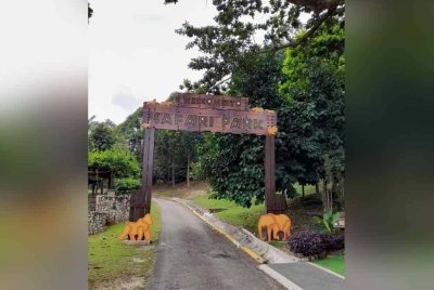 Safari Park antara lokasi yang mempamerkan 169 ekor haiwan di Zoo Teruntum itu.