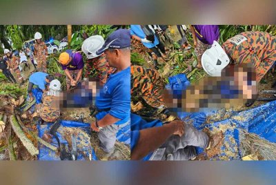 Anggota bomba membantu mangsa yang dihempap pokok kelapa sawit dalam kejadian di Kampung Sungai Kuning pada Sabtu.