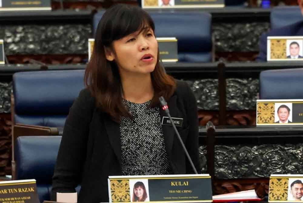 Teo Nie Ching. Foto fail Bernama