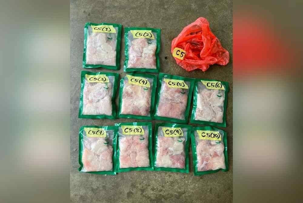 Antara rampasan disyaki daging hidupan liar oleh WCU Perhilitan di sebuah restoran di Teluk Datok, Banting, Sabtu lalu. Foto Perhilitan.