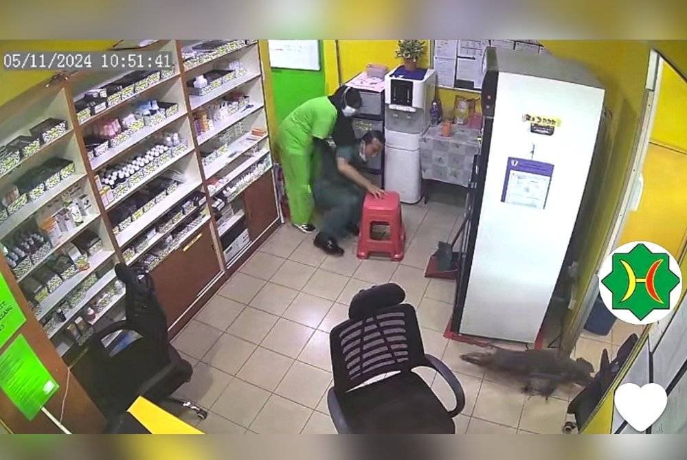 Tangkap layar video yang menunjukkan kehadiran seekor biawak di Klinik Penawar Ampangan.