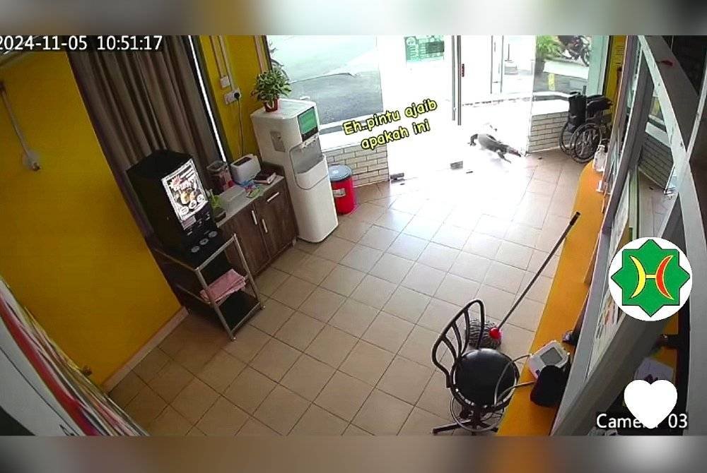 Haiwan tersebut kelihatan menerjah masuk secara tiba-tiba melalui pintu yang terbuka.