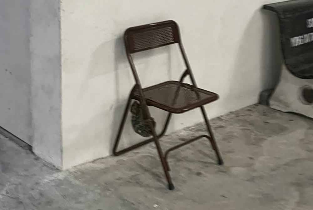 Kubung dipercayai tersesat dijumpai penduduk tersangkut pada kerusi di sebuah kondominium di Tanjung Bungah.