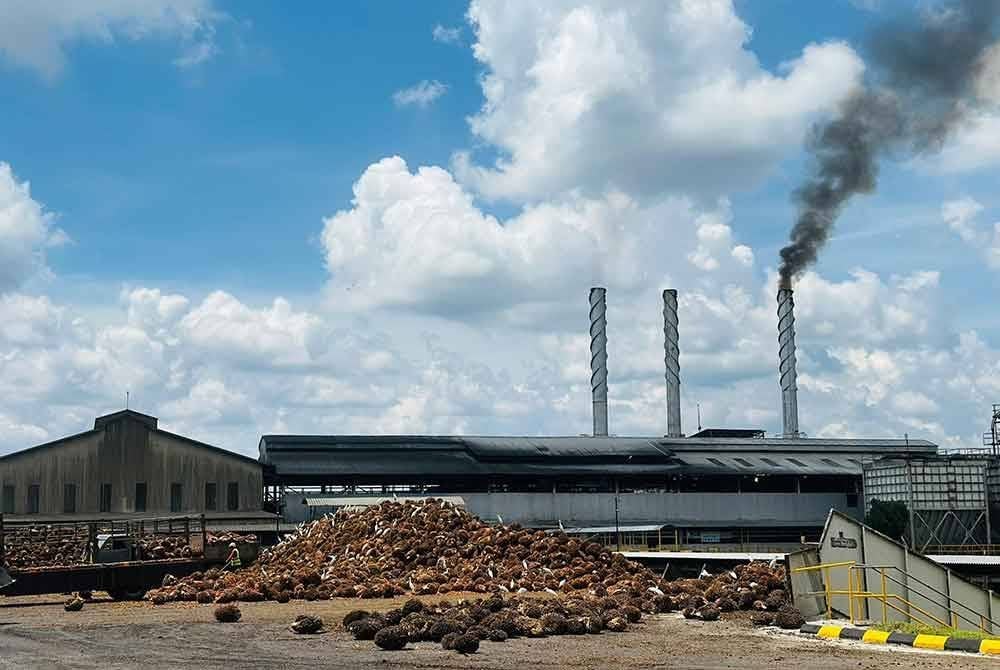 Kilang pemprosesan kelapa sawit di Pusat Latihan Felda Trolak pada Khamis.