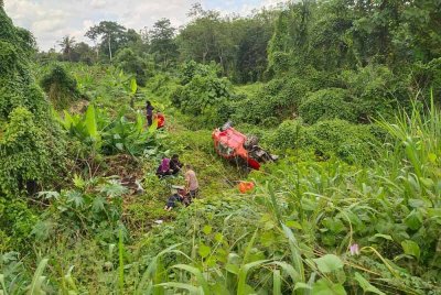 Seorang wanita warga emas maut selepas kereta dipandu anaknya terjatuh ke dalam gaung.