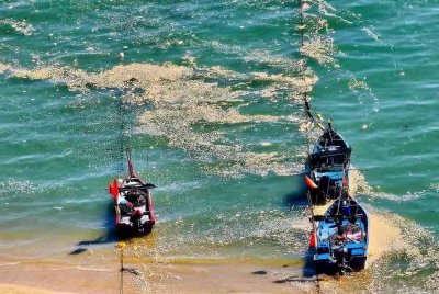 Tular beberapa keping gambar dan video kewujudan bendasing di perairan Tanjung Bungah pada Ahad.