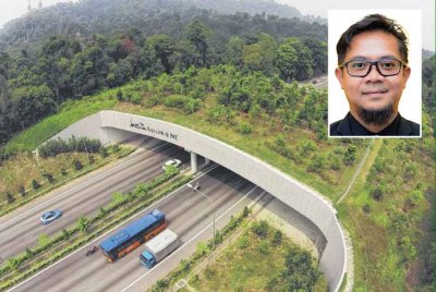 Jejambat hidupan liar dibina untuk menggabungkan dua kawasan hutan bagi memudahkan hidupan liar mencari makanan. Gambar kecil: Kamarul Ariffin 
