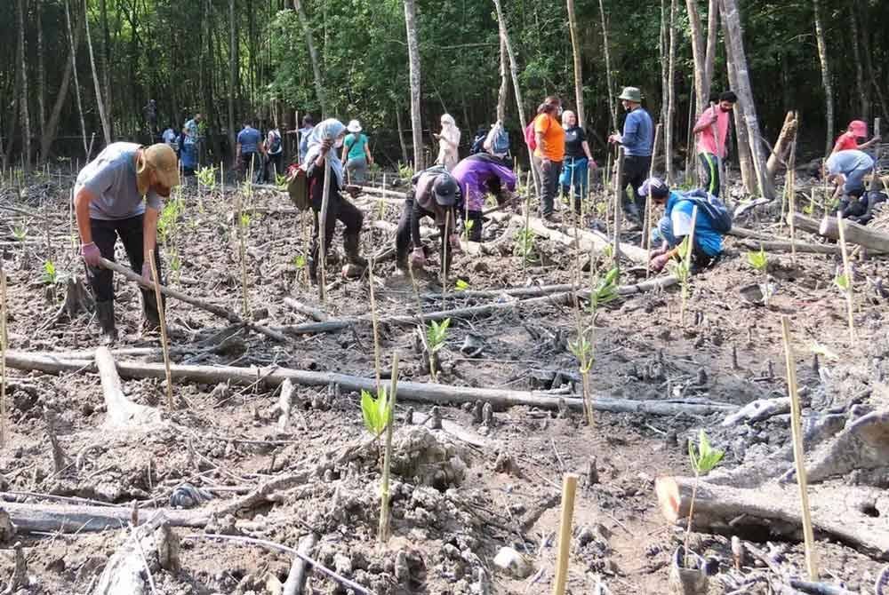 Pelbagai aktiviti dilaksanakan termasuk penanaman pokok bakau yang berperanan sebagai pelindung semula jadi kepada bencana alam seperti tsunami, ombak besar dan ribut.