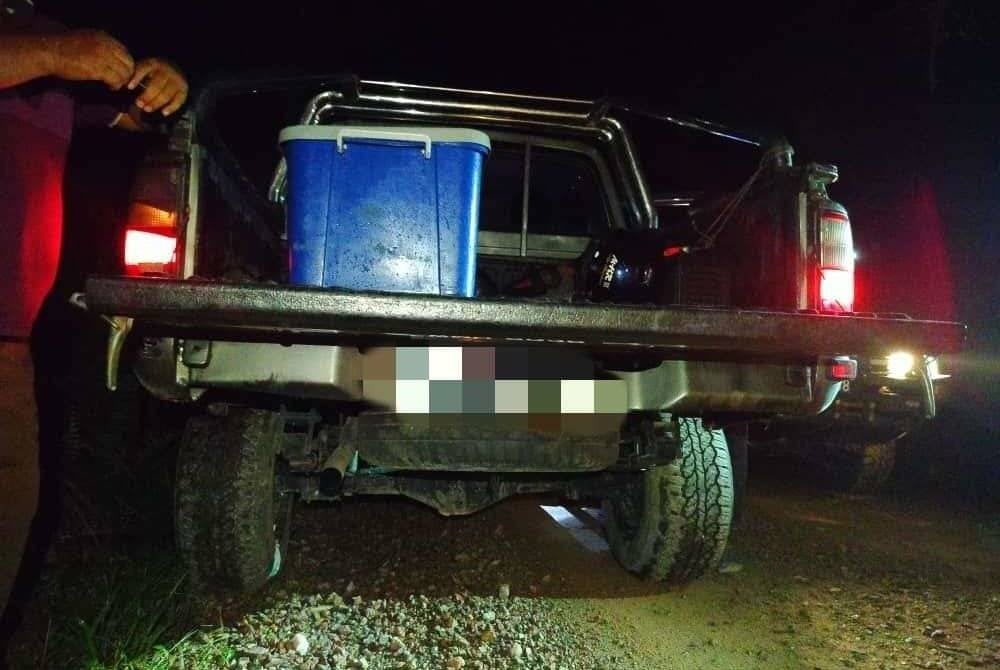 Batalion 7 PGA Kuantan berjaya menumpaskan kegiatan pemburuan haram selepas menahan enam lelaki di kawasan ladang Pongsoi Mukim Semantan, Lanchang, Pahang pada Ahad.