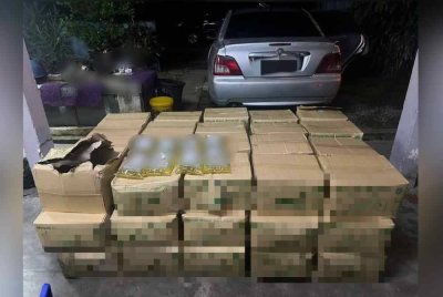 Dua lelaki dipercayai menjadi penghantar untuk menyeludup minyak masak bersubsidi ke negara jiran dicekup Batalion 8 Pasukan Gerakan Am (PGA) Pengkalan Chepa di jalan Banggol Setol ke Mungkirim, Pasir Mas pada Ahad.