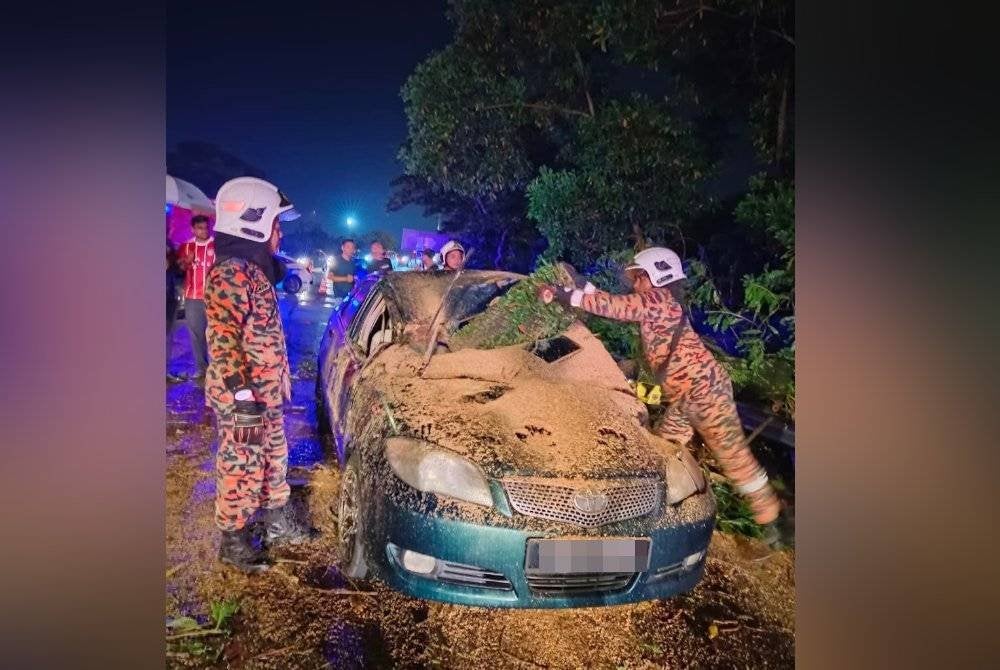 Pasukan bomba sedang mengalihkan batang pokok yang menghempap kereta mangsa.