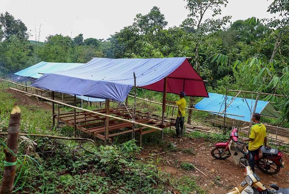 Sebahagian penduduk Orang Asli giat menyiapkan bangsal untuk tempat tinggal sementara bagi menghadapi banjir. Foto Bernama