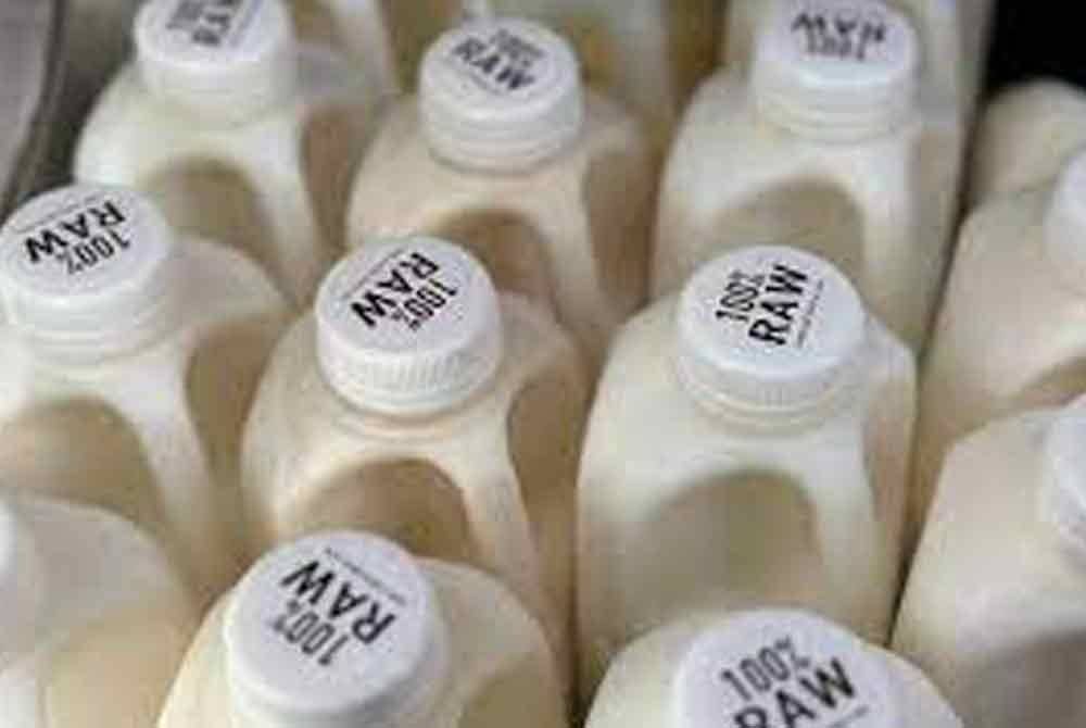 Pegawai kesihatan awam di negeri California, barat AS mengesahkan bahawa virus selesema burung dikesan dalam sampel susu mentah yang dijual secara runcit yang dihasilkan ladang tenusu tempatan - Foto: Agensi