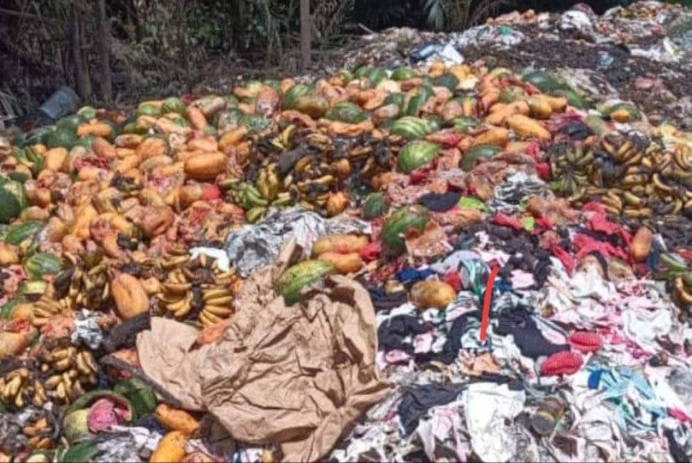 Keadaan di lokasi buah-buahan busuk dibuang secara haram di Kampung Parit Awang, Yong Peng. Foto Facebook Ling Tian Soon