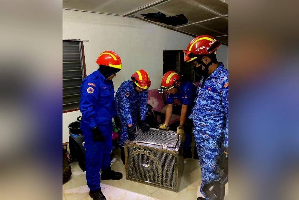 Ular sawa yang berjaya ditangkap akan diserahkan kepada Jabatan Perlindungan Hidupan Liar dan Taman Negara (Perhilitan) untuk tindakan lanjut. Foto APM