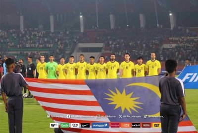 Harimau Malaya naik satu anak tangga ke kedudukan ke-132 dunia, berdasarkan kepada kemas kini terkini ranking dunia FIFA pada Khamis. 