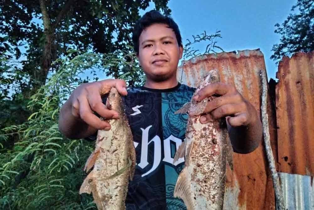 Fadlullah menunjukkan ikan patin yang dipancing.