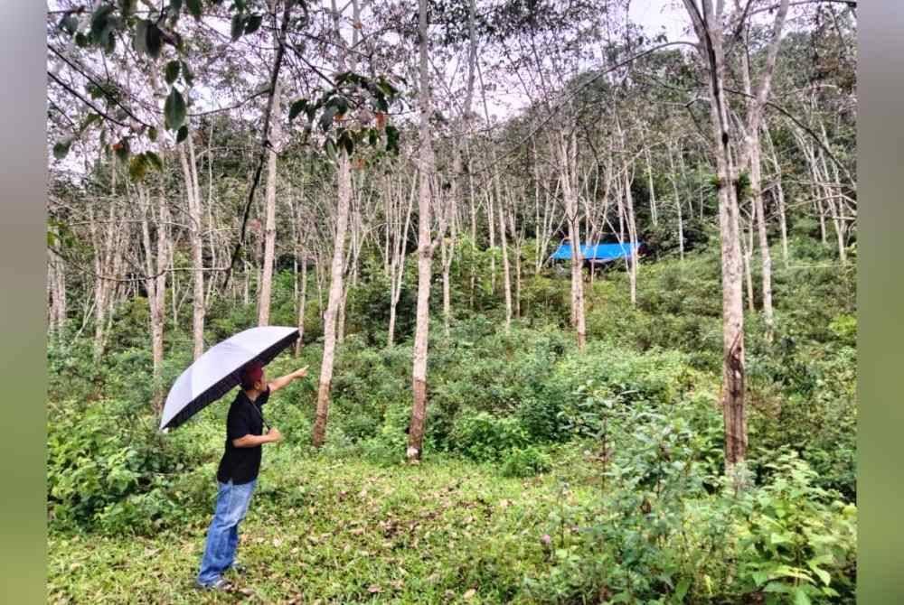 Abd Samad menunjukkan khemah yang dibina menggunakan kayu dan kanvas secara bergotong-royong.