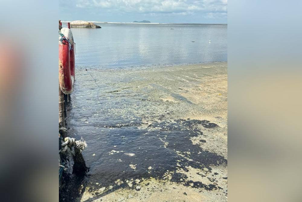 Penduduk berhampiran mendakwa kehadiran lumpur dan selut tebal yang berbau busuk berpunca daripada projek tambakan laut untuk projek Pulau Silikon.