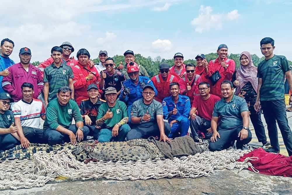 Kakitangan Perhilitan dan APM bergambar bersama buaya tembaga yang ditangkap. Foto APM