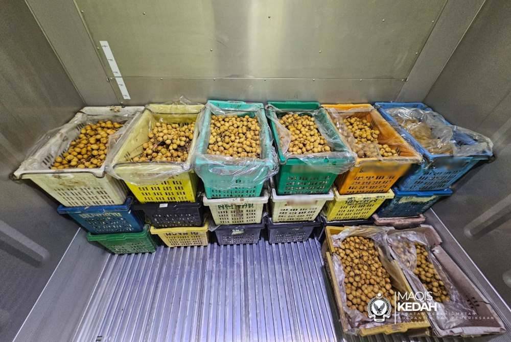 Maqis Kedah merampas kira-kira 700 kg buah longan tanpa perakuan sah di Pintu Masuk Kota Putra Durian Burung pada Isnin. Foto Maqis Kedah