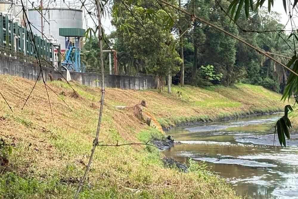 Efluen berwarna coklat dikesan di Sungai Buloh.