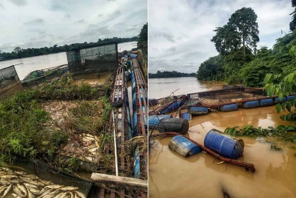 Keadaan sangkar ikan yang rosak akibat dihanyutkan arus deras Sungai Pahang pada Rabu.