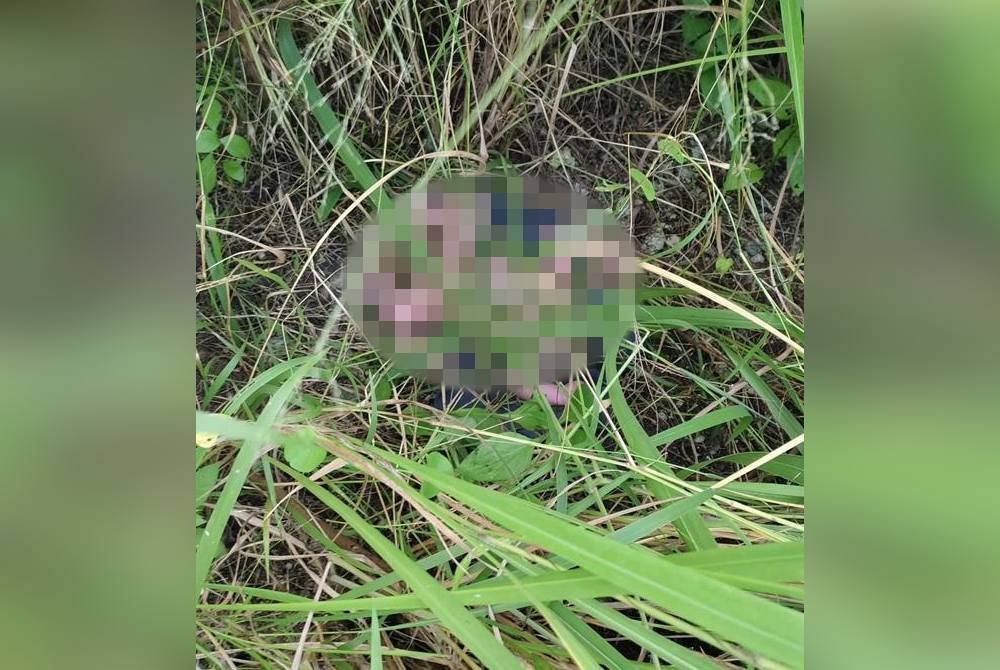 Bayi lelaki cukup sifat dibuang dalam kawasan semak sebelum ditemui orang awam. Foto ihsan pembaca