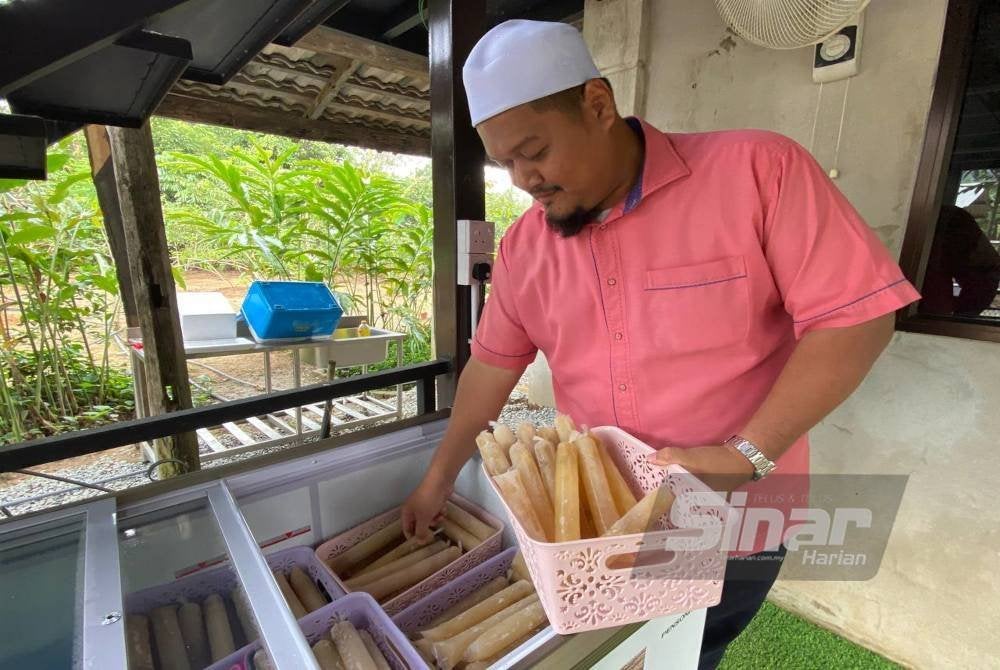 Di Ladang Buah Tin Pantai Timur, Kampung Permatang Sungkai, Pasir Puteh pengunjung juga boleh menikmati ais krim daripada buah tin segar.