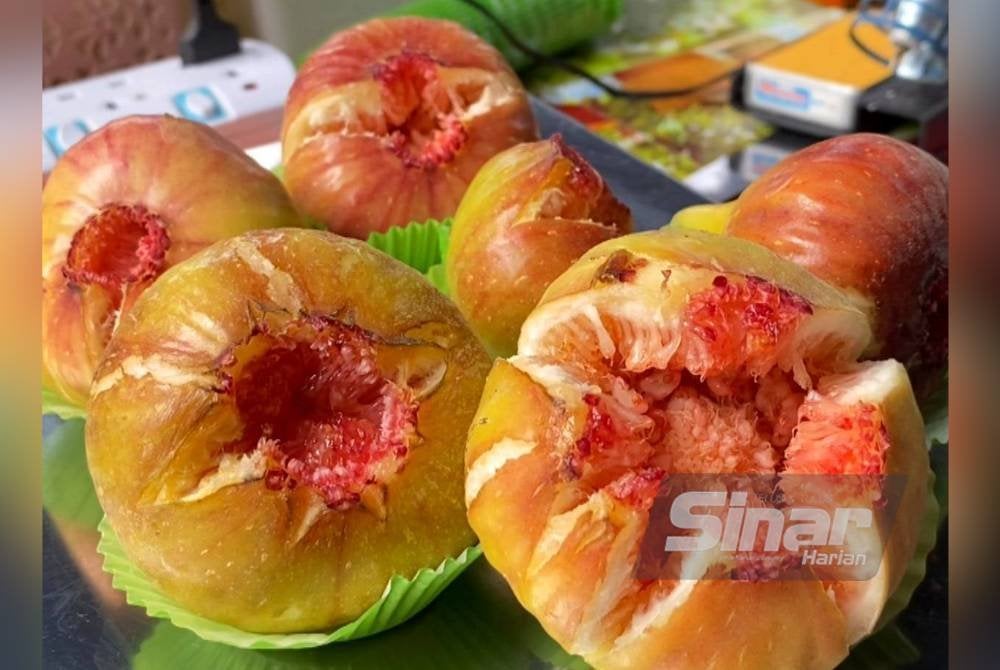 Percubaan seorang pengasas rumah kebajikan mengusahakan tanaman buah tin di Ladang Buah Tin Pantai Timur, Kampung Permatang Sungkai, Pasir Puteh berbaloi apabila ia mengeluarkan hasil seberat sehingga 120 gram sebiji.