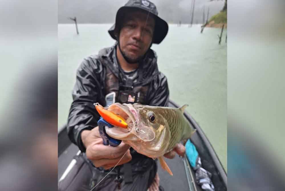 Konsep 'sportfishing' iaitu memburu ikan dengan menggunakan umpan tiruan digunakan bagi memburu ikan sebarau. - Foto: Facebook MHMH Sport Fishing