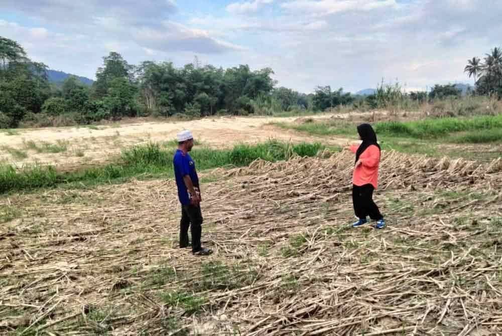 Siti Zubaidah (kanan) menunjukkan kawasan kebun jagungnya yang perlu dikeringkan sebelum ditanam semula.