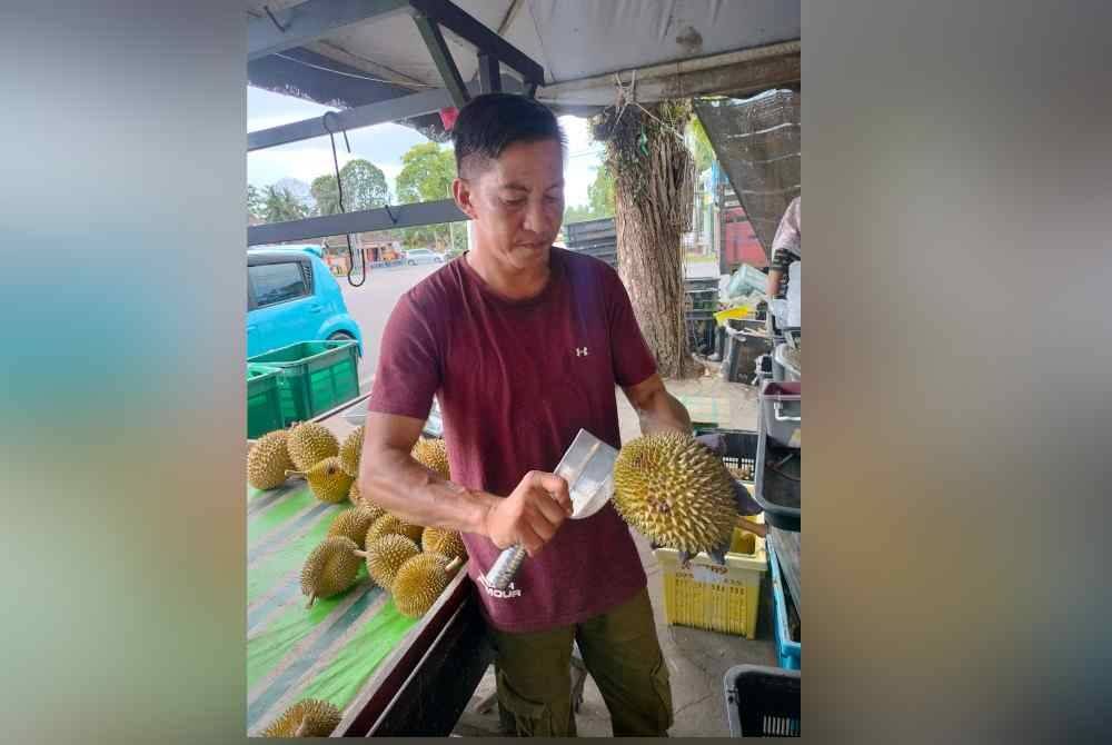 Rohaizad membelah durian kesep merah yang hanya terdapat di Kukup.