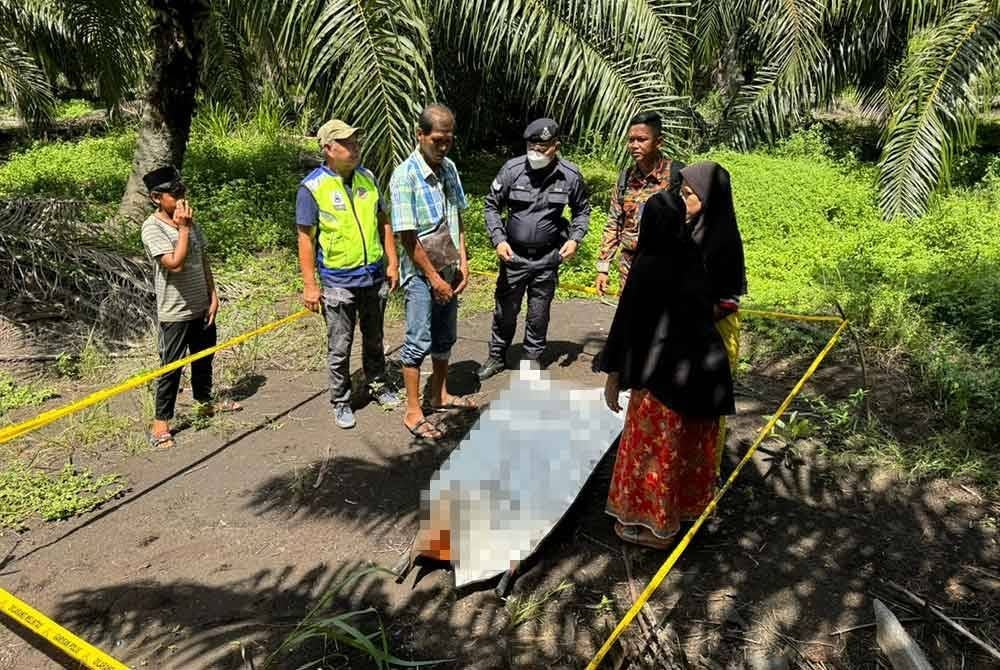 15 Julai - Kes pembunuhan Allahyarham Nur Farah Kartini Abdullah, 25, di ladang kelapa sawit Kampung Sri Keledang, Hulu Selangor.