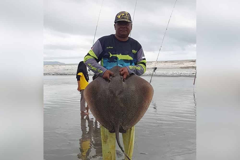 Azri menunjukkan ikan pari seberat 12.455kg yang berjaya dipancingnya.