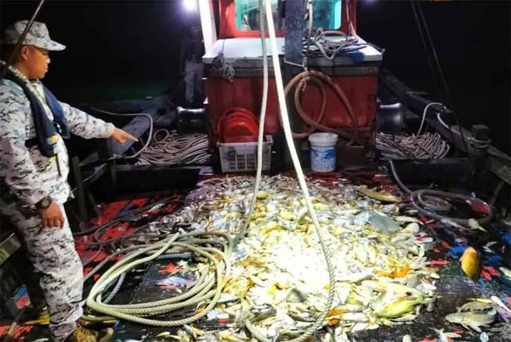 Seorang anggota Maritim Malaysia menunjukkan hasil tangkapan ikan campur yang dianggarkan seberat 150 kilogram, selepas sebuah bot ditahan pasukan penguatkuasaan itu di Sungai Janggut, Klang, Selangor pada Selasa. Foto Maritim Malaysia