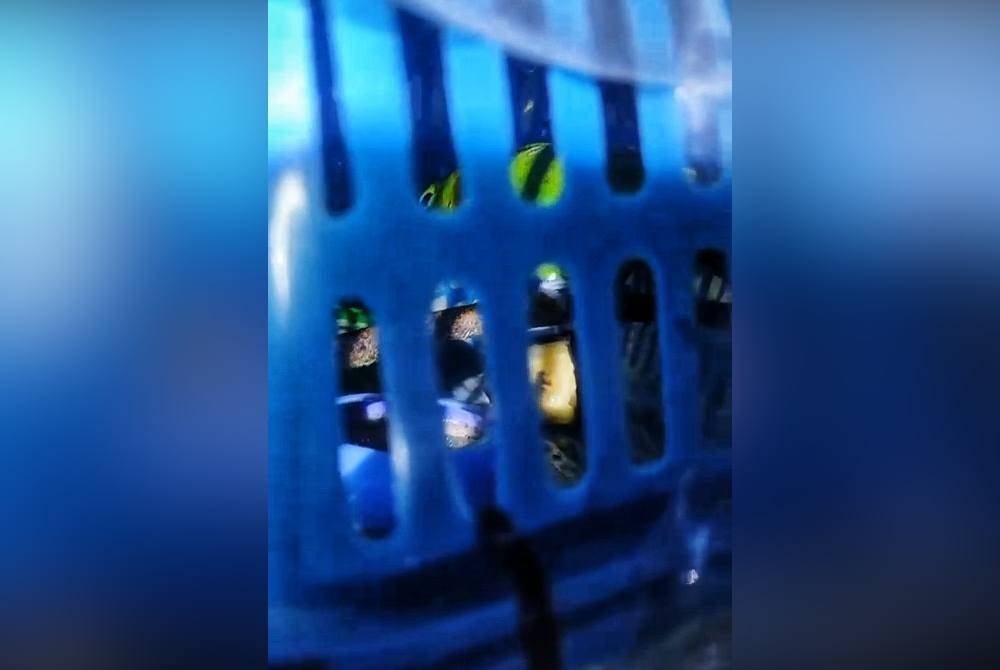 Antara spesies burung yang dilindungi yang ditemui dalam lori tersebut. Foto ihsan PDRM