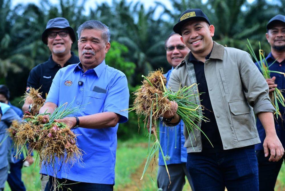 Muhamad Khairil (kanan) dan Mohamad (kiri) menunjukkan pengeluaran bawang di PKPS Bestari Jaya di sini pada Sabtu.