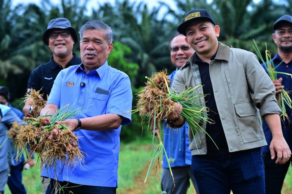 Muhamad Khairil (kanan) dan Mohamad (kiri) menunjukkan pengeluaran bawang di PKPS Bestari Jaya di sini pada Sabtu.