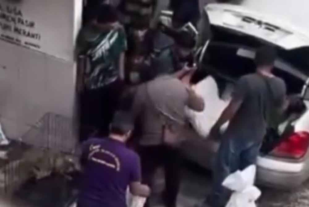 Polis menjalankan siasatan berkaitan tindakan sekumpulan individu di kawasan Pangsapuri Batu 9, Cheras yang didakwa menangkap beberapa ekor kucing sebelum memasukkannya ke dalam guni dipercayai untuk dibuang pada Sabtu.