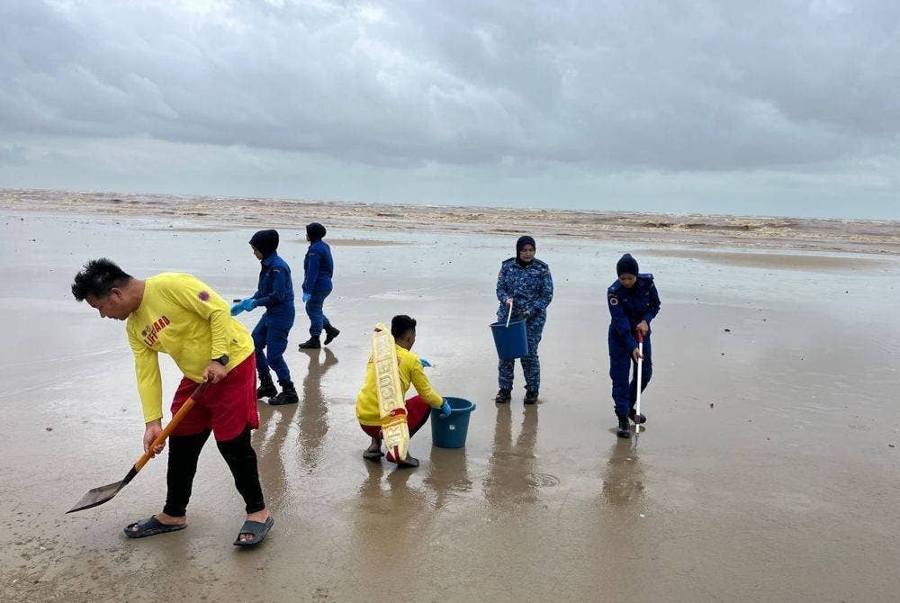 Pegawai APM Daerah Rompin bersama petugas keselamatan pantai mengutip ubur-ubur yang terdampar di Pantai Hiburan Rompin pada Isnin. Foto ihsan APM Rompin