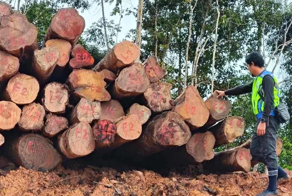 PGA Sarawak menumpaskan kegiatan pembalakan haram dan merampas 154 batang balak serta pelbagai peralatan bernilai lebih RM3 juta.