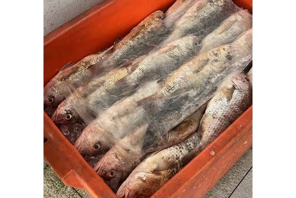 Ratusan ikan mati dipercayai akibat diracun pihak tidak bertanggungjawab. Foto Facebook Mohd Rizwan.