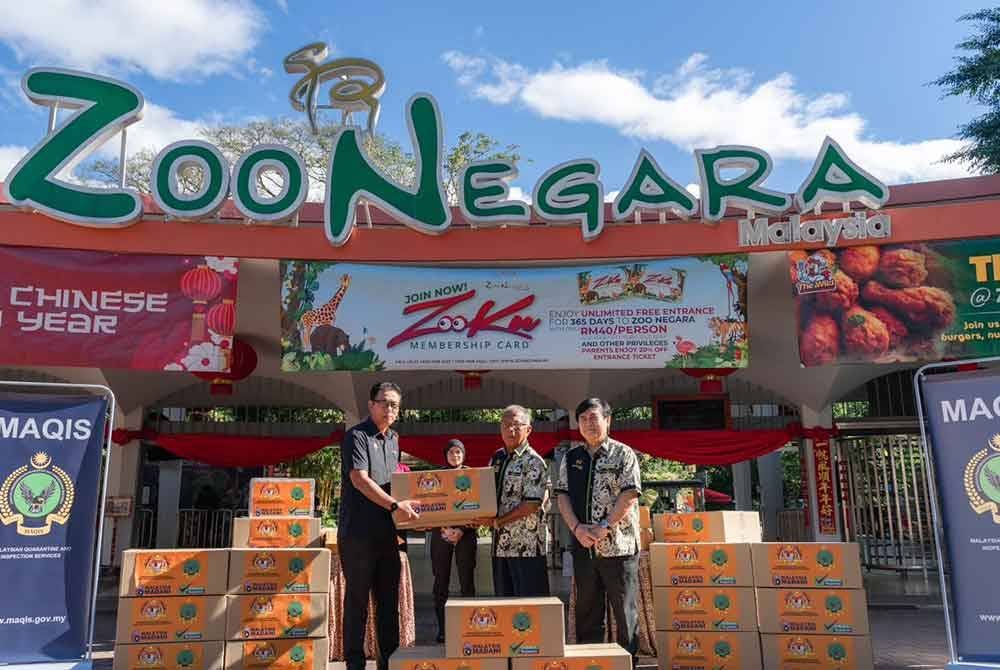 Shamsul Akbar (kiri) menyerahkan kotak keratan ayam sejuk beku kepada pihak Zoo Negara, pada Selasa.