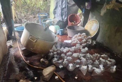 Pemeriksaan di lokasi membawa kepada penemuan 280 bungkus air ketum dan 528 bungkus daun ketum. Foto PGA