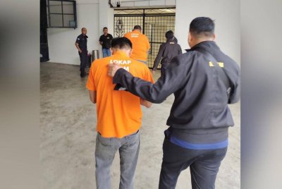 SPRM menahan dua penguat kuasa di Kedah kerana dipercayai meminta dan menerima rasuah berjumlah RM6,000 sebagai balasan tidak mengambil tindakan ke atas penjualan ketum di negeri itu.