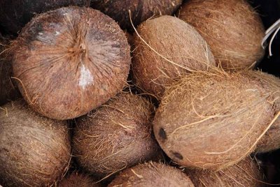 KPKM menganggarkan sebanyak 500 tan metrik kelapa akan dibawa masuk ke Semenanjung setiap bulan, bermula Februari. Gambar hiasan.